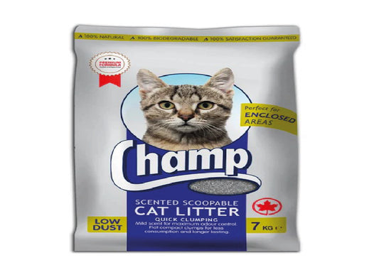 CHAMP LITTER LAVENDER