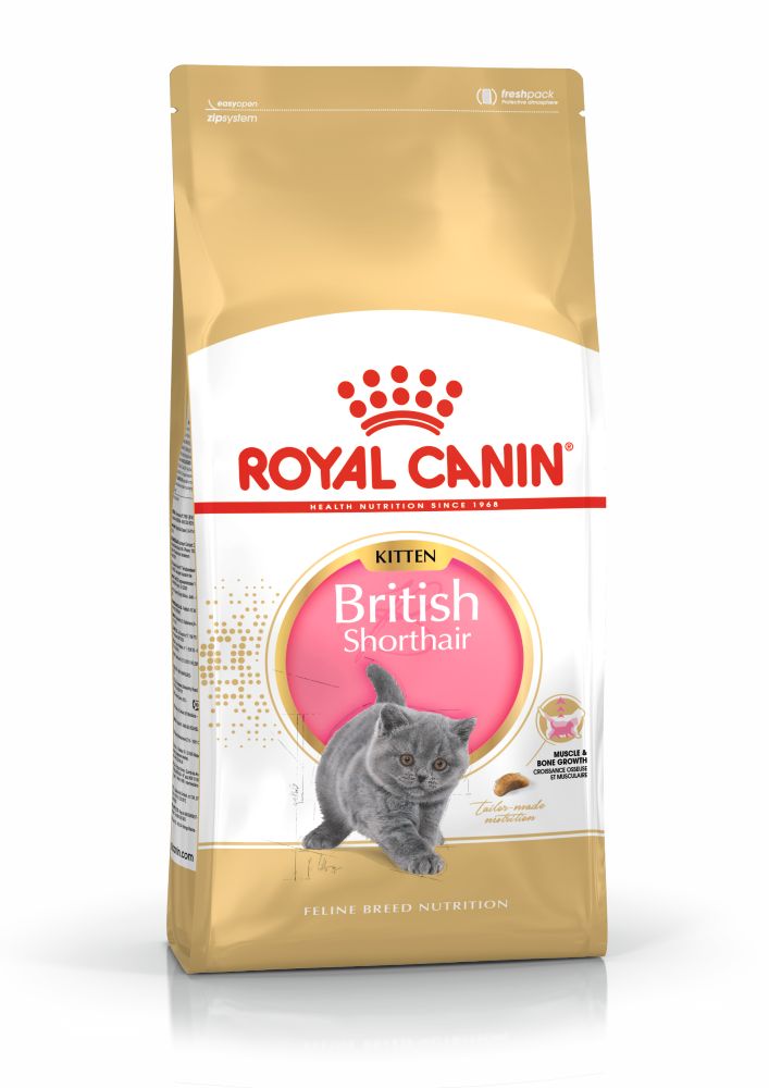 Royal Canin British Shorthair Kitten