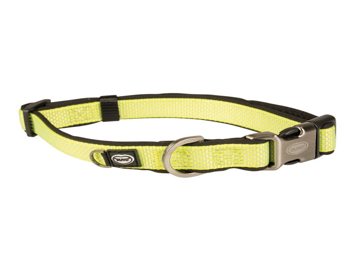 DUVO EXPLOR NORTH COLLAR YELLOW MEDIUM