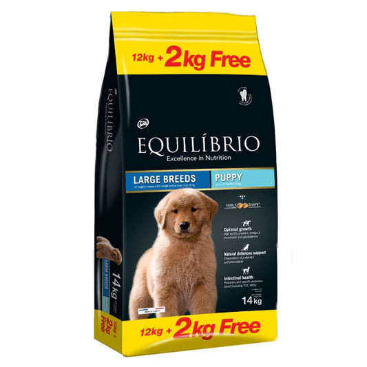 EQUILIBRIO LARGE BREED PUPPY
