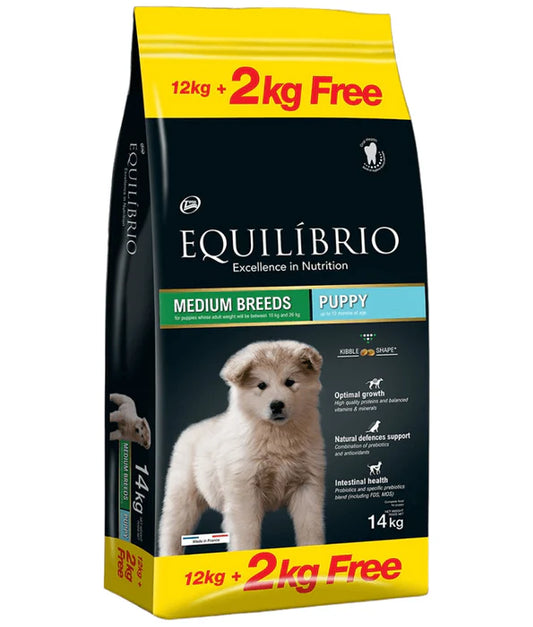 EQUILIBRIO MEDIUM BREED PUPPY