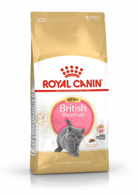 ROYAL CANIN BRITISH SHORTHAIR KITTEN
