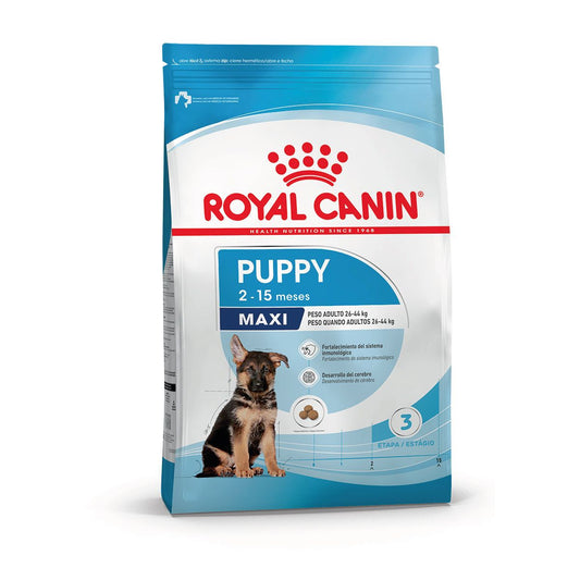 ROYAL CANIN MAXI PUPPY