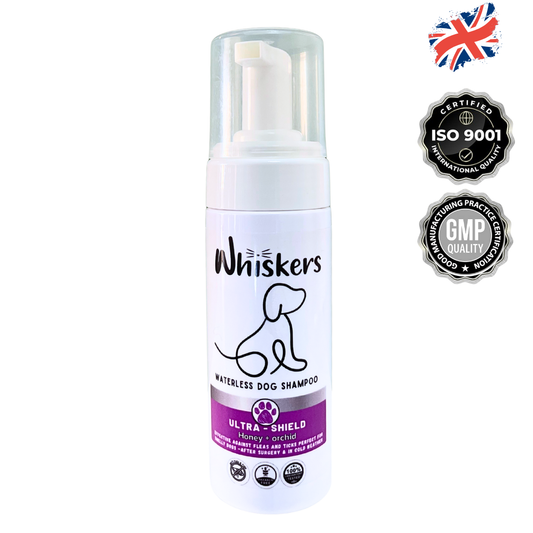 Whiskers Foam Shampoo Honey + Orchid Dog & Cat