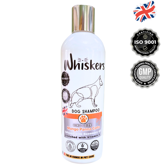 Whiskers King Size Dog Shampoo Mango Panna Cota