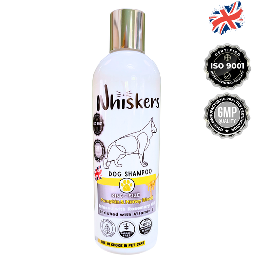 Whiskers King Size Dog Shampoo Pumpkin & Honey Blend