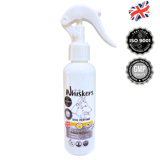 Whiskers King size Perfume Beirut Scent