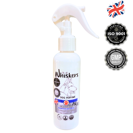 Whiskers King size Perfume Paris Scent